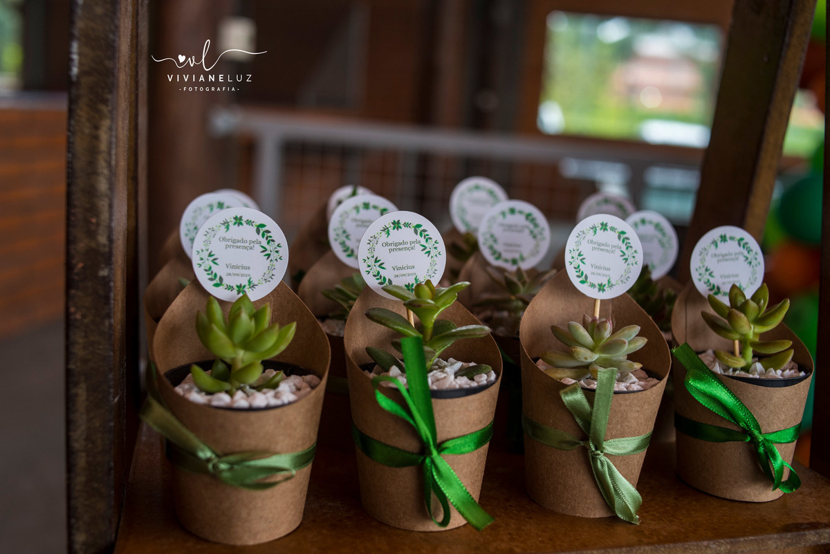 festa infantil safari 1 aninho decoração safari fotografa de aniversario fotografia de aniversario Guaramirim Jaraguá do Sul