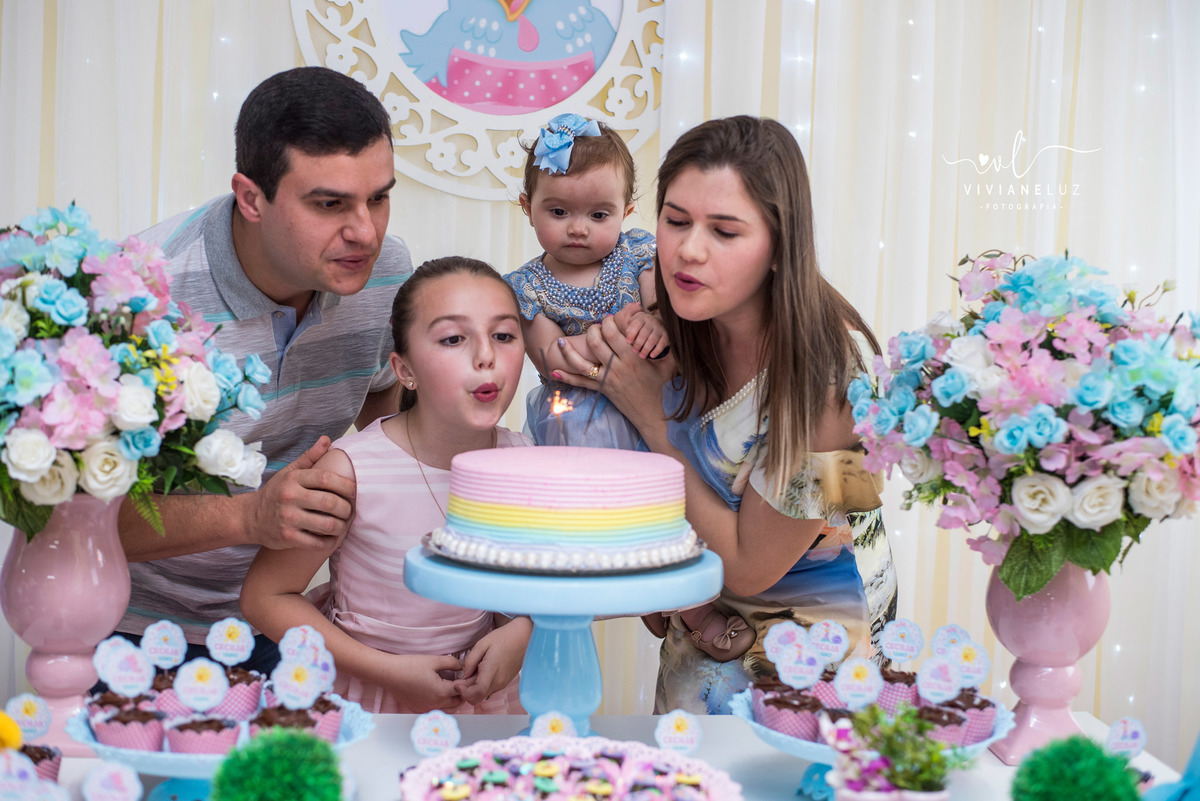 festa infantil galinha pintadinha 1 aninhos decoração galinha pintadinha fotografa de aniversario fotografia de aniversario Guaramirim Jaraguá do Sul