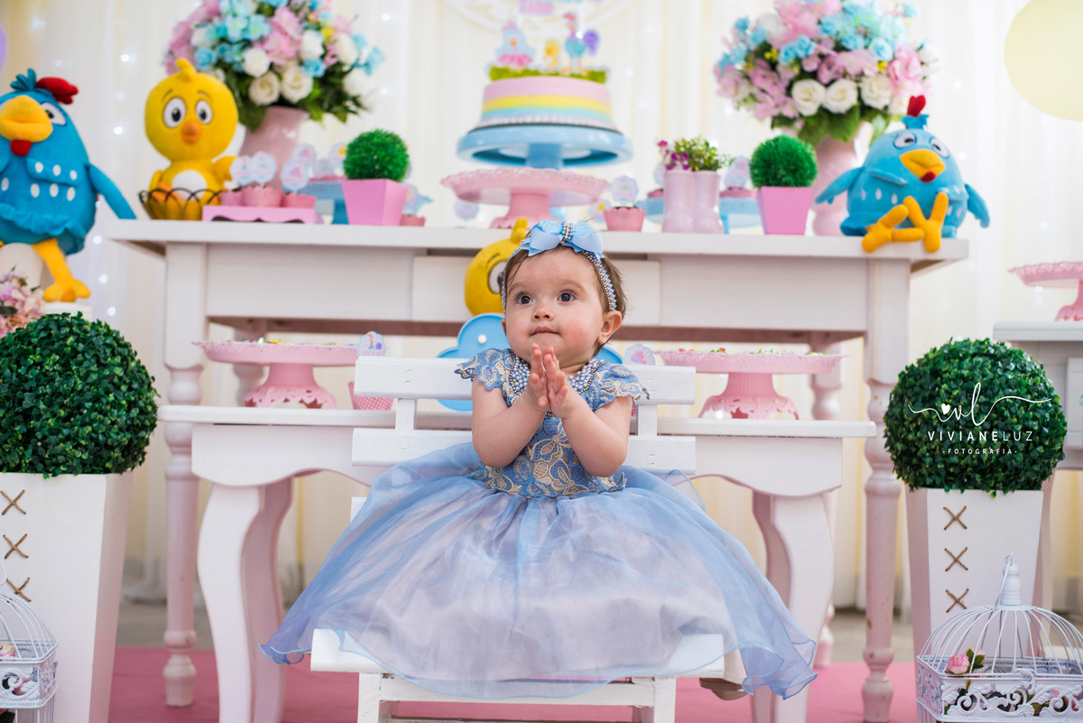 festa infantil galinha pintadinha 1 aninho decoração galinha pintadinha fotografa de aniversario fotografia de aniversario Guaramirim Jaraguá do Sul