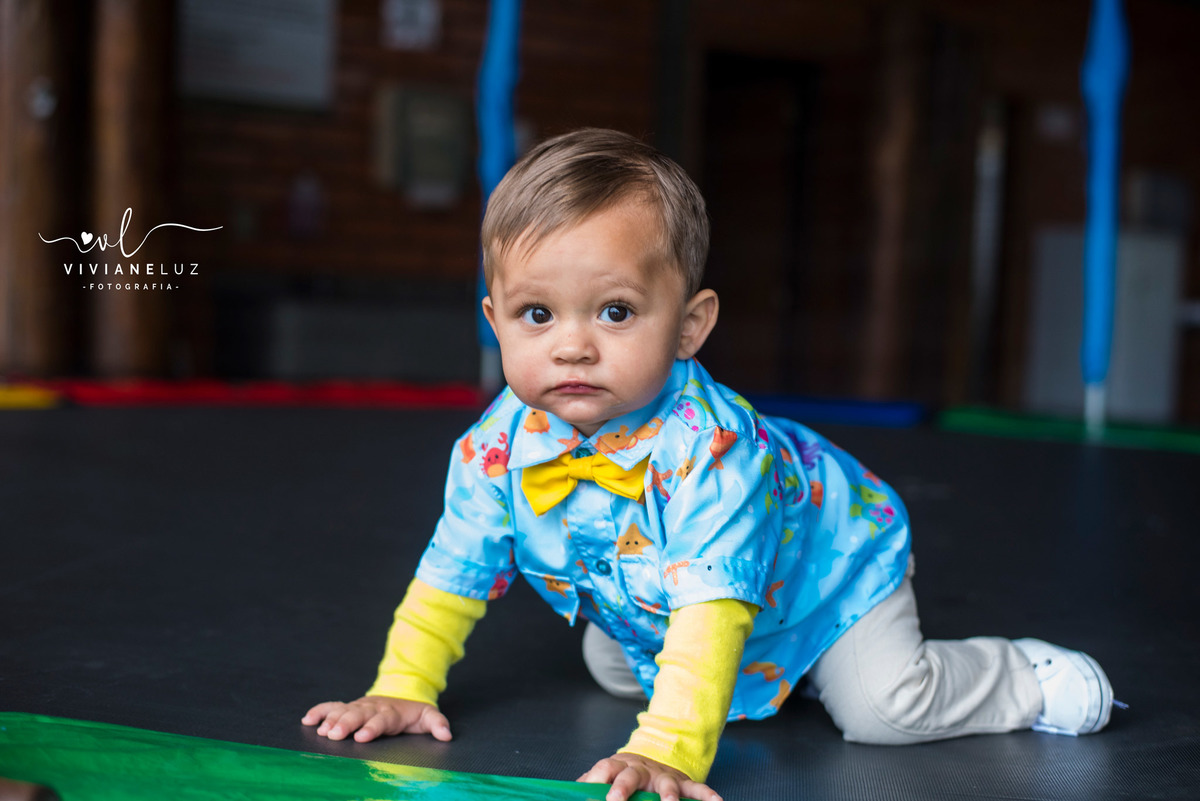 aniversario 1 aninho Benjamin
fundo do mar fotografia infantil fotografa de aniversario infantil
fotografa de guaramirim fotografa de jaragua do sul
fotografa de massaranduba