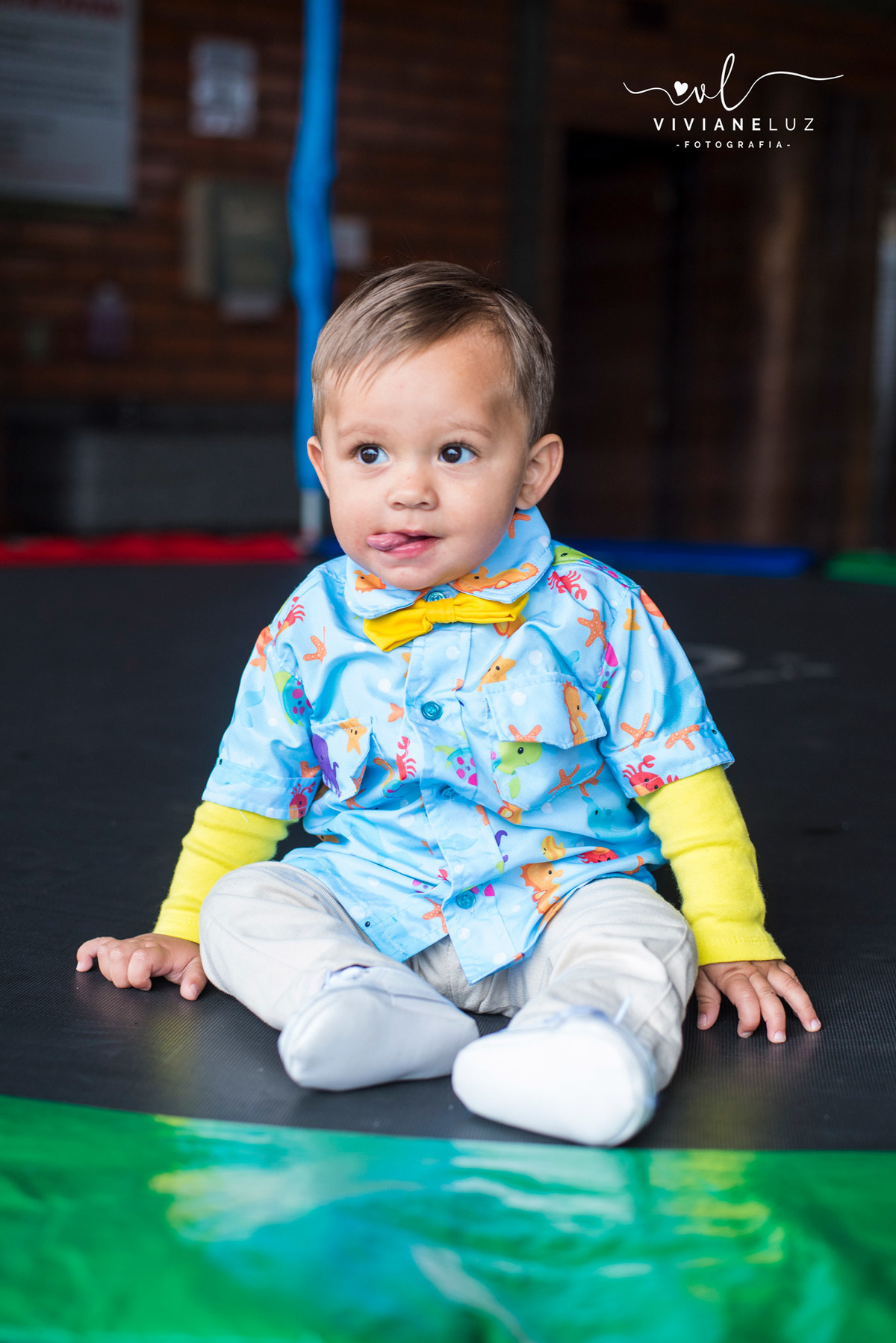aniversario 1 aninho Benjamin
fundo do mar fotografia infantil fotografa de aniversario infantil
fotografa de guaramirim fotografa de jaragua do sul
fotografa de massaranduba