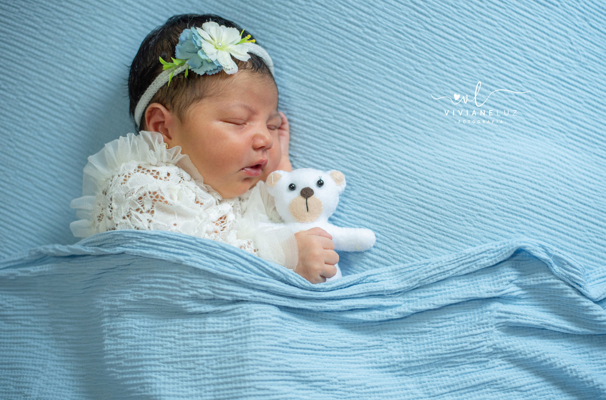 ensaio newborn recem nascido fotografa de guaramirim jaragua do sul e regiao fotografia domiciliar ensaio domiciliar viviane luz fotografias