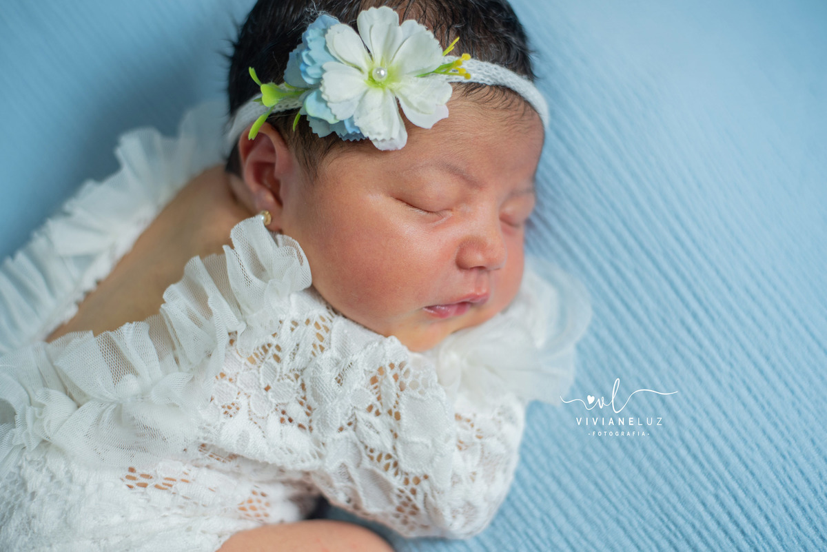 ensaio newborn recem nascido fotografa de guaramirim jaragua do sul e regiao fotografia domiciliar ensaio domiciliar viviane luz fotografias