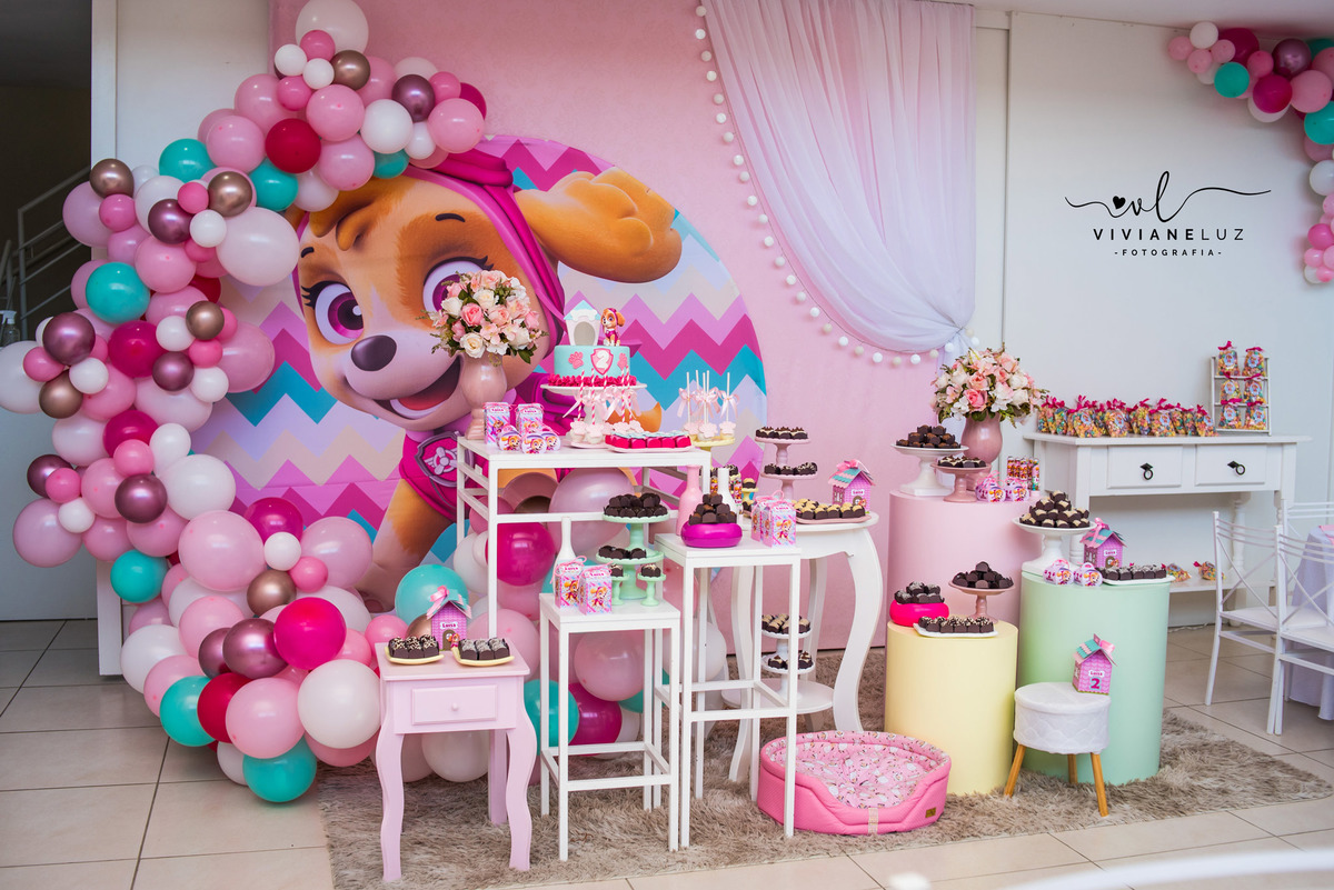 festa infantil tema skye 2 aninhos fotografia infantil fotografa de guaramirim e regiao 
