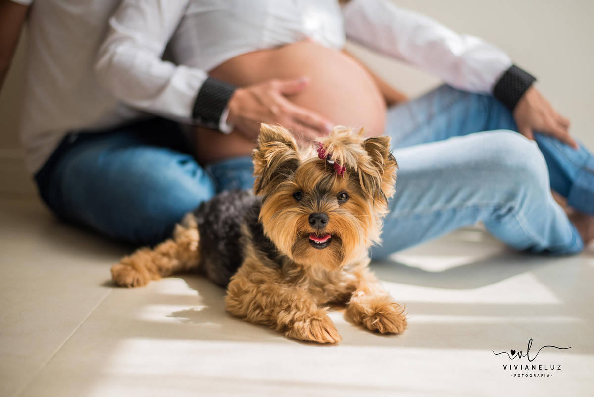 ensaio gestante lifestyle fotografa de guaramirim jaragua do sul ensaio em casa gestante em casa ensaio externo