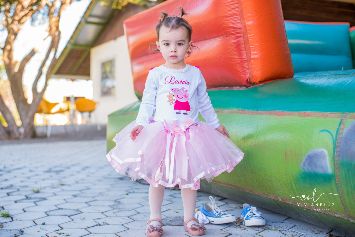 fotografia infantil festa infantil 2 anos da lavinia fotografa de guaramirim jaragua do sul e regiao