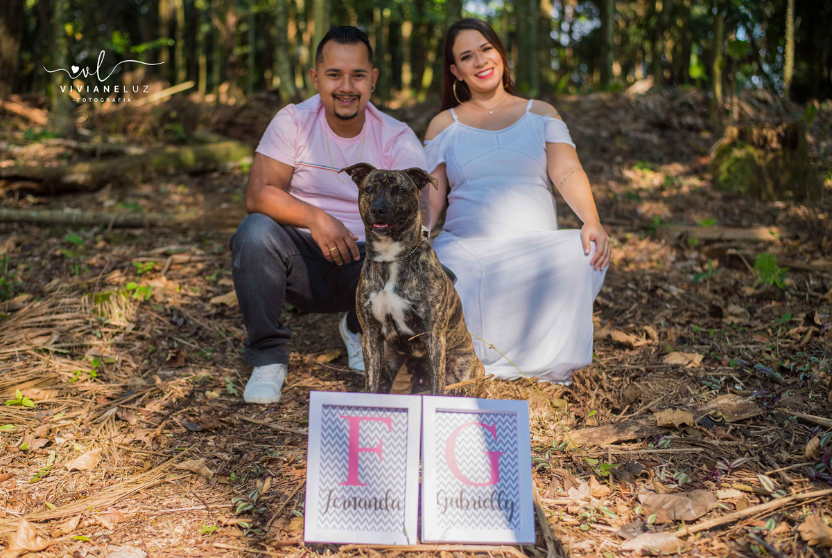 ideias de fotos gestante guaramirim fotografos de guaramirim fotografa de gestante ensaio externo ensaio diferente de gestante viviane luz