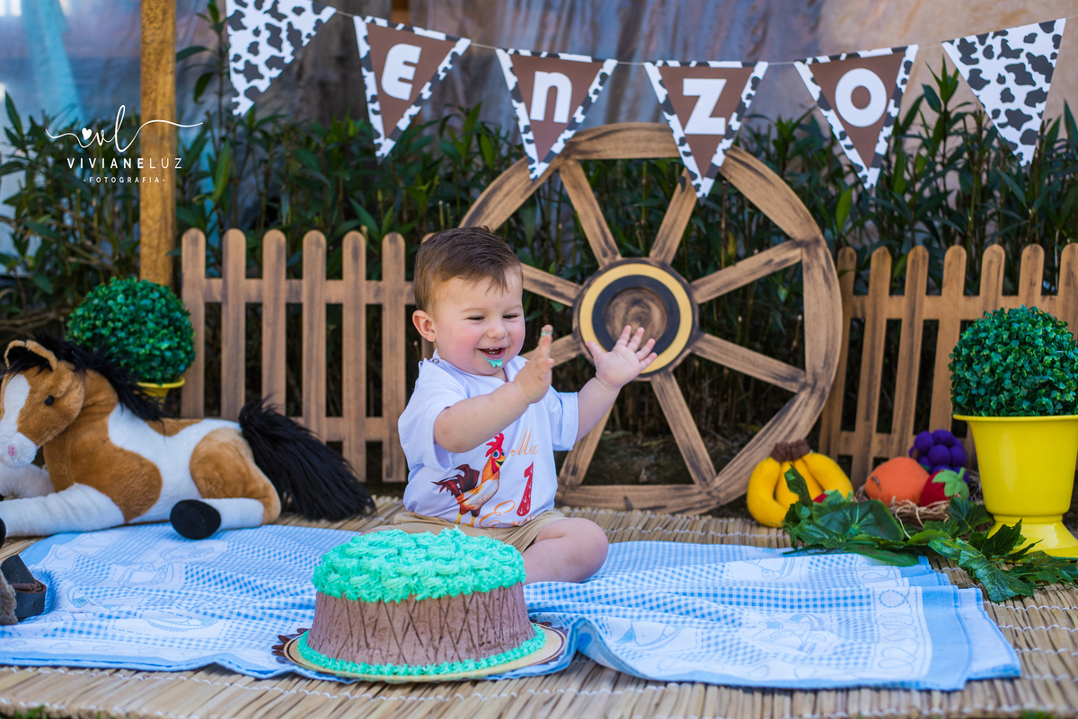 ensaio familia smash the cake fazendinha fotografa de jaragua do sul guaramirim e região massaranduba ensaio externo viviane luz