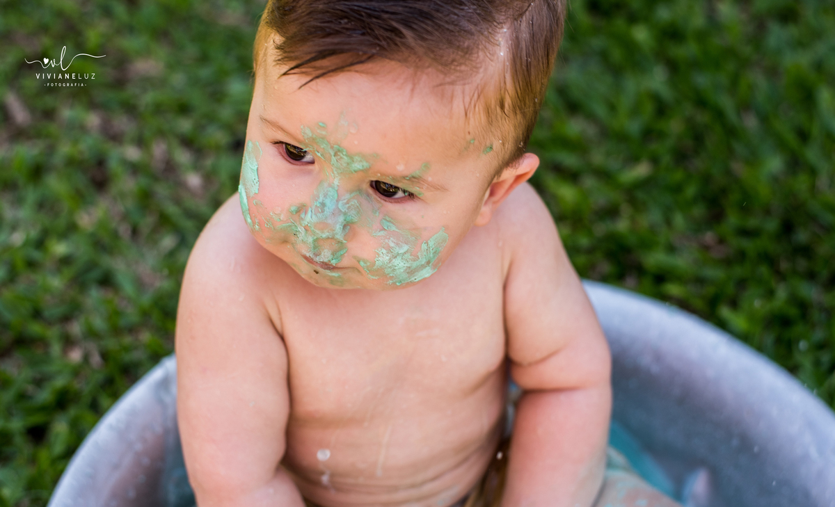 ensaio familia smash the cake fazendinha fotografa de jaragua do sul guaramirim e região massaranduba ensaio externo viviane luz banho de bacia