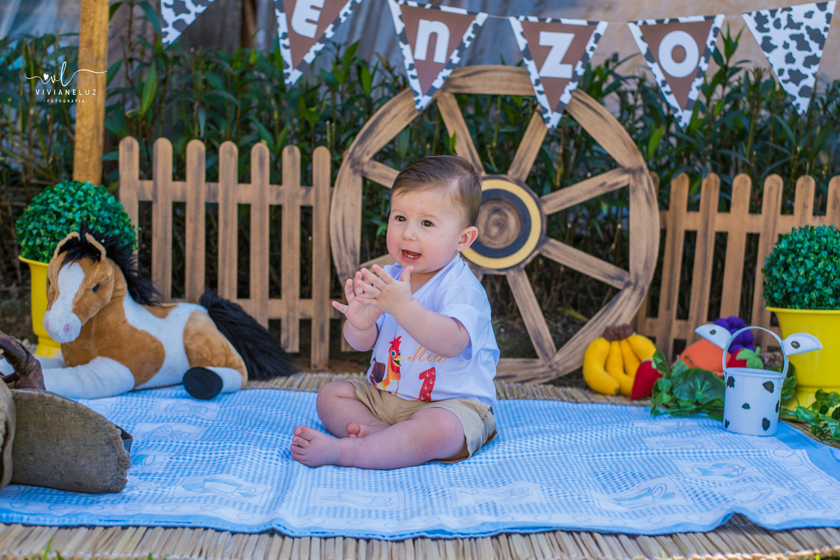 ensaio familia smash the cake fazendinha fotografa de jaragua do sul guaramirim e região massaranduba ensaio externo viviane luz