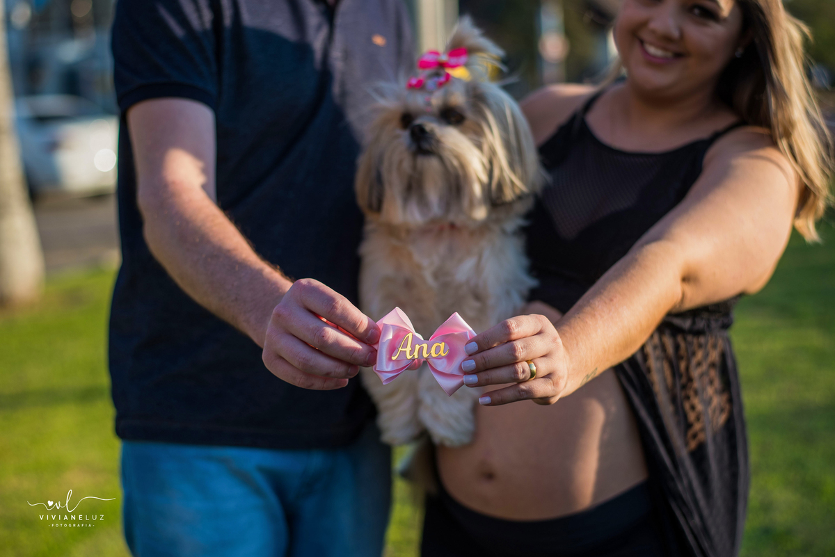 ensaio gestante com pet mãe de menina ensaio externo de gestante ensaio gestante diferente fotografa de gestante em jaragua do sul