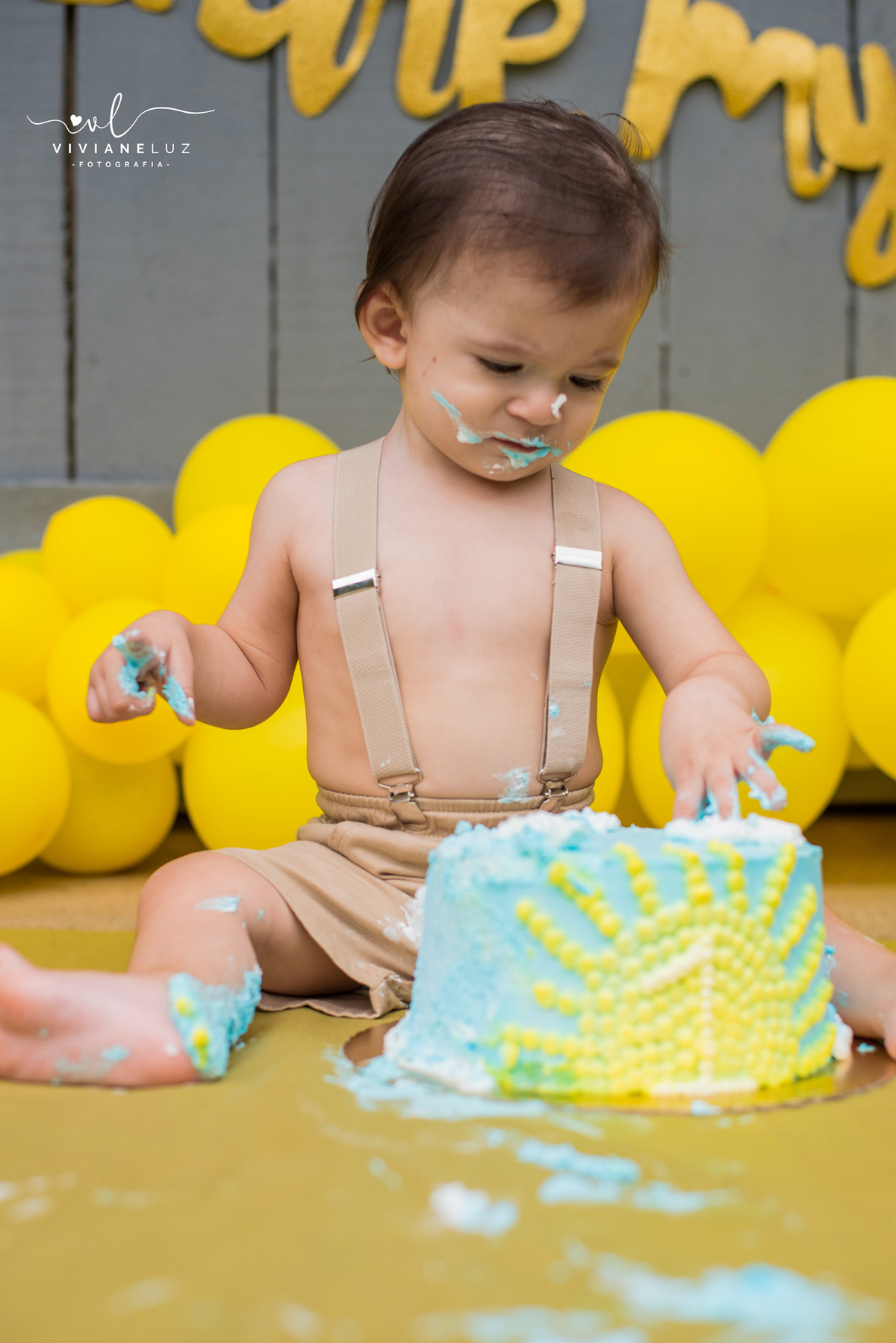 smash the cake tema sol de 1 aninho fotografa de smash the cake