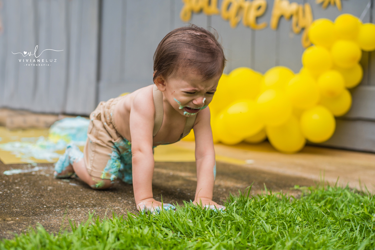 smash the cake tema sol martin fez 1 aninho