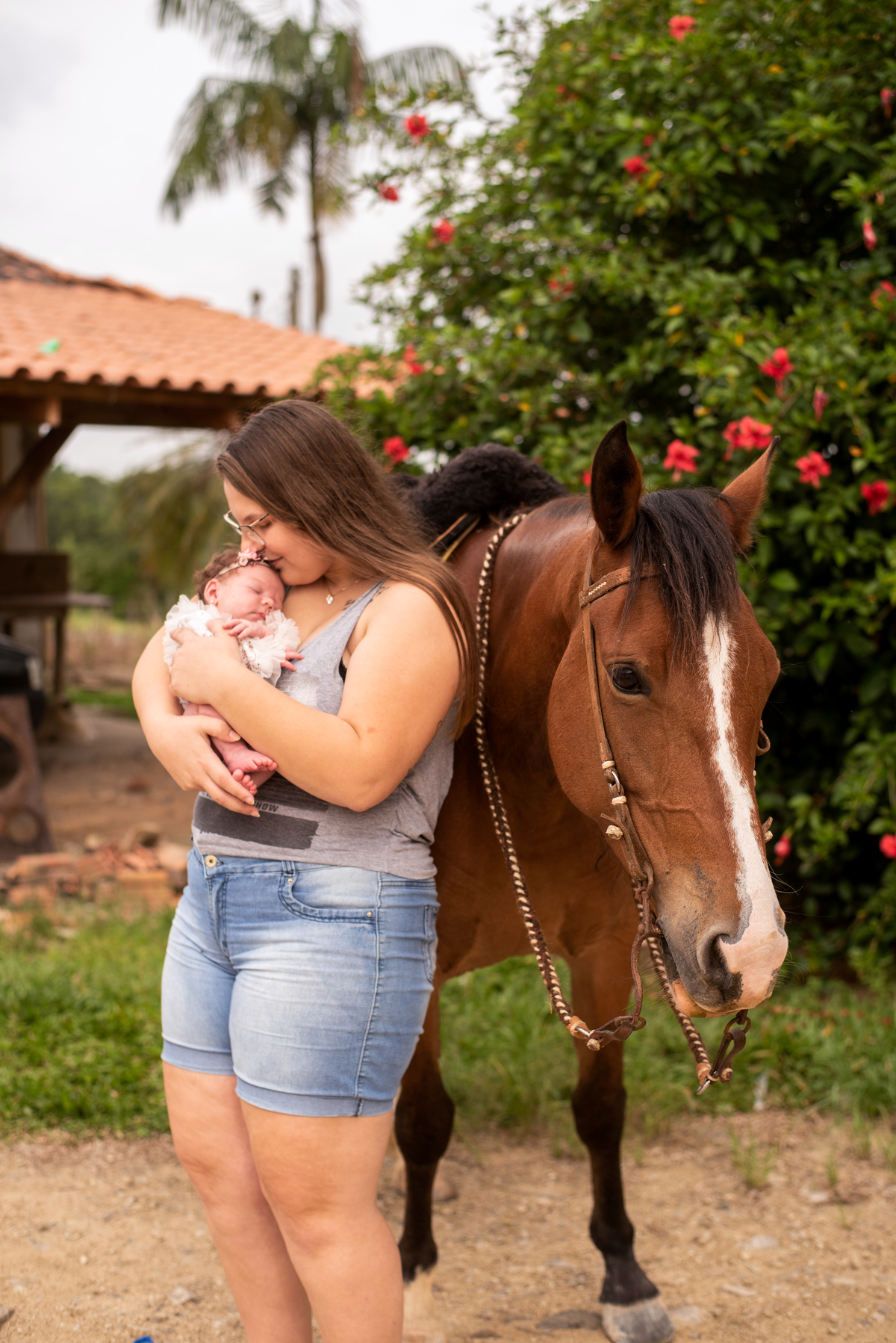 fotografia de recem nascido em casa fotos de cavalo