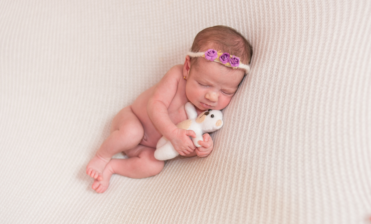 newborn em casa com bichinho