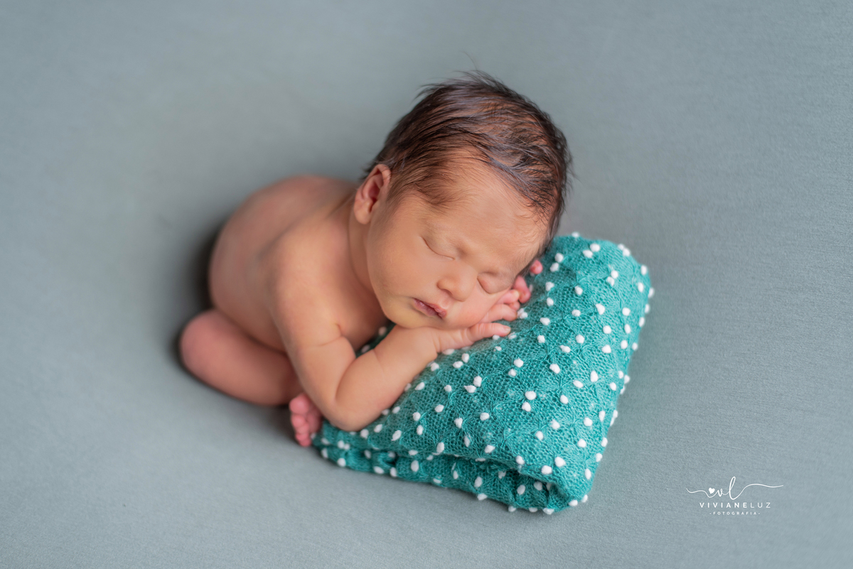 coala mais lindo ensaio recem nascido