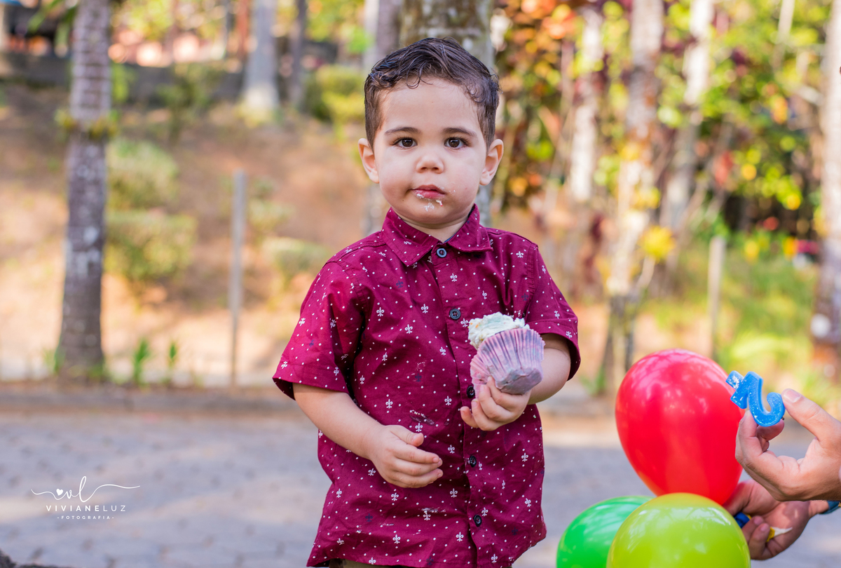 festa infantil 2 aninhos