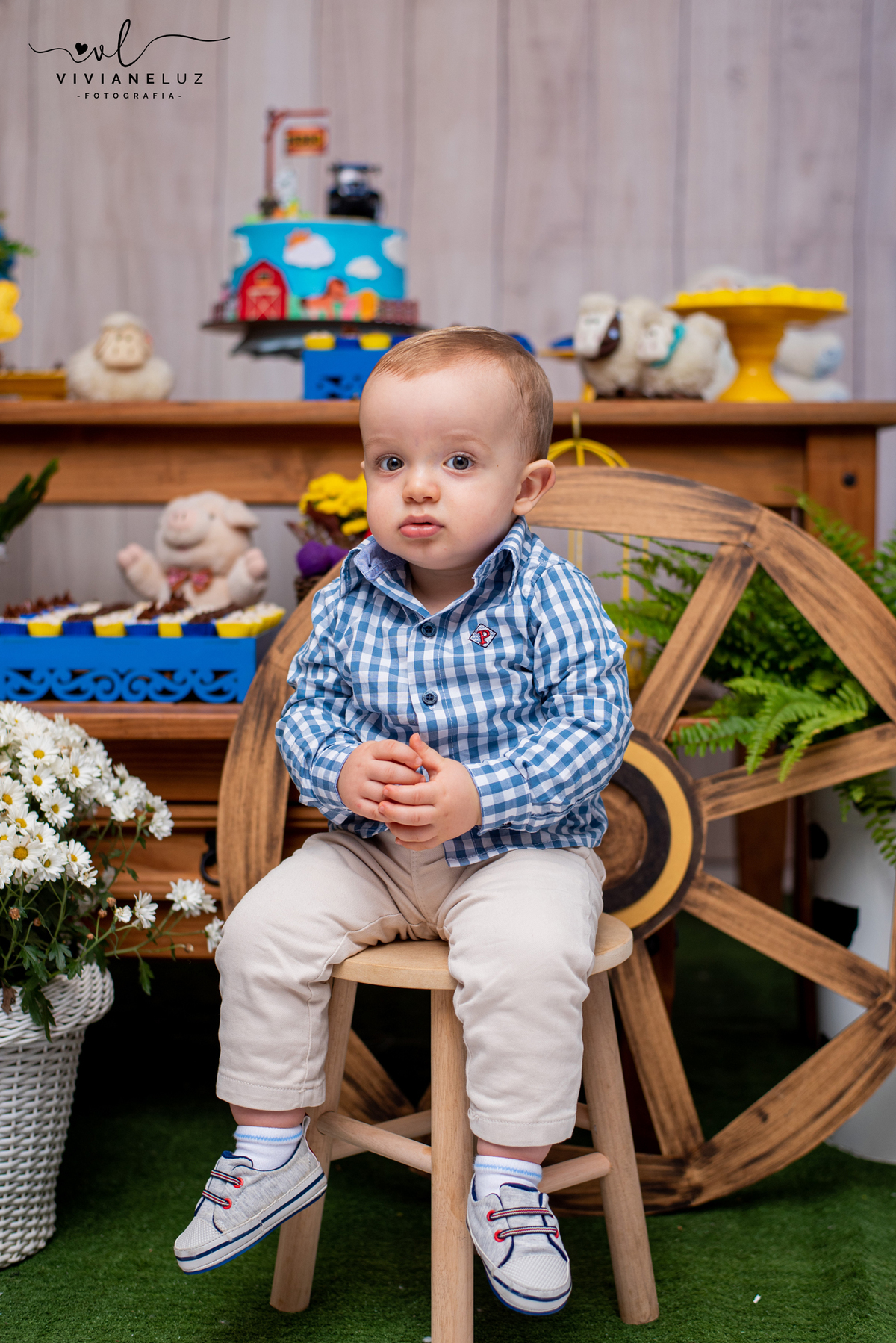 Pedro fez 1 aninho tema fazendinha