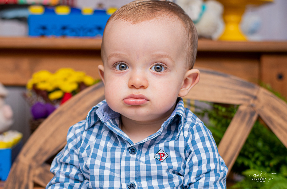 fotografa viviane luz de guaramirim festa de aniversario