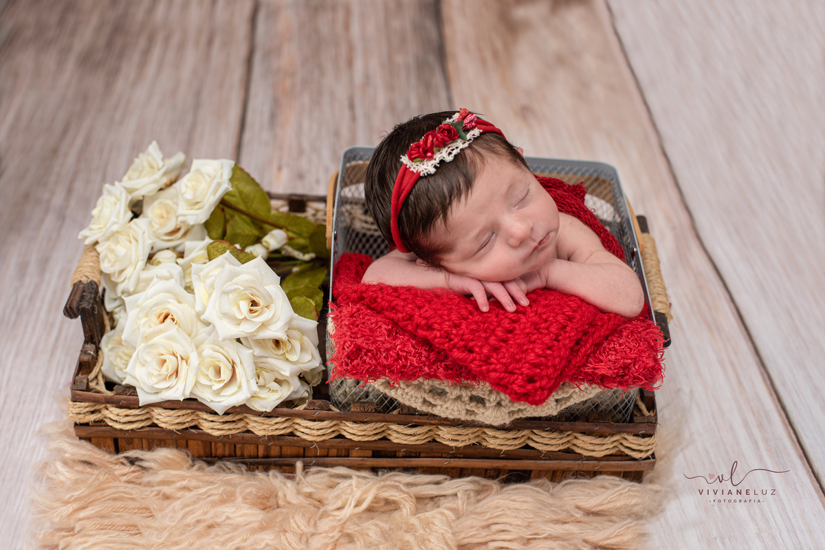 uma florzinho no jardim newborn de menina em casa fotografa viviane luz