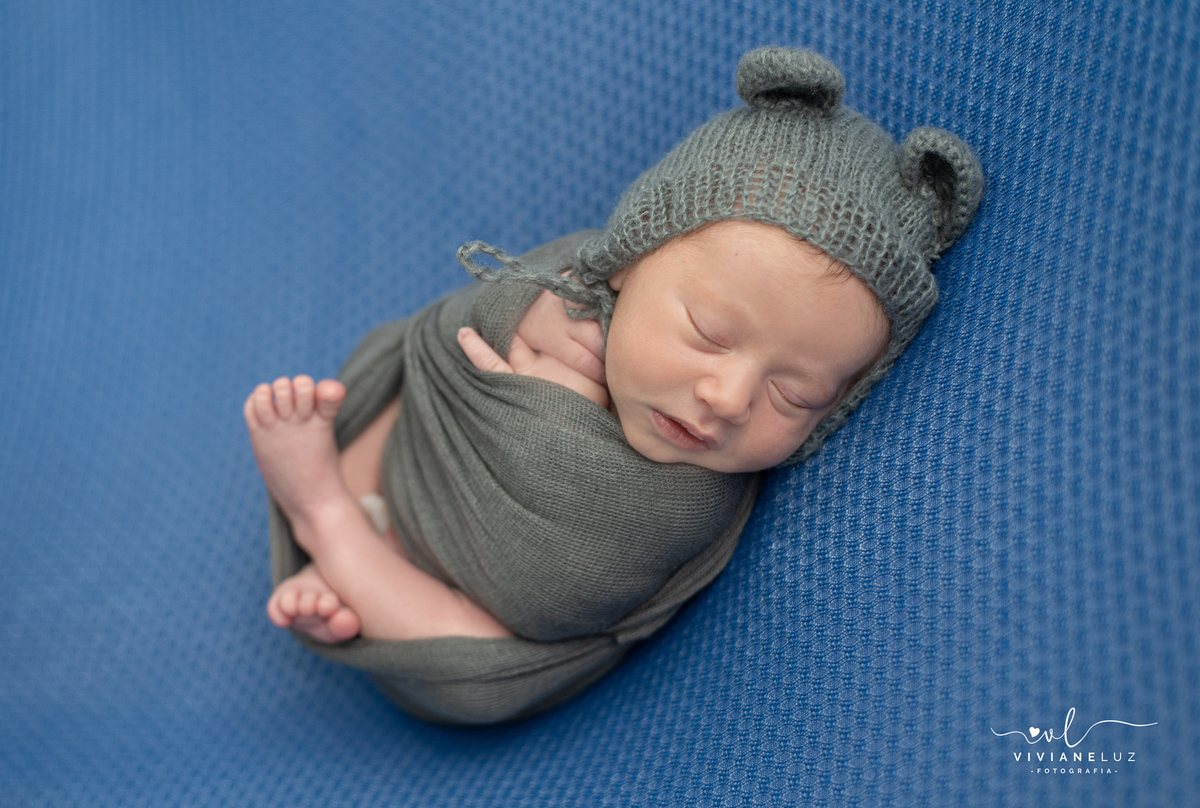 foto de recem nascido em casa de ursinho fotografa de guaramirim