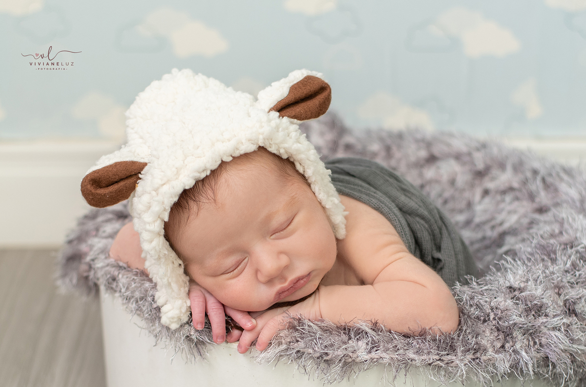 foto de carneirinho newborn em guaramirim