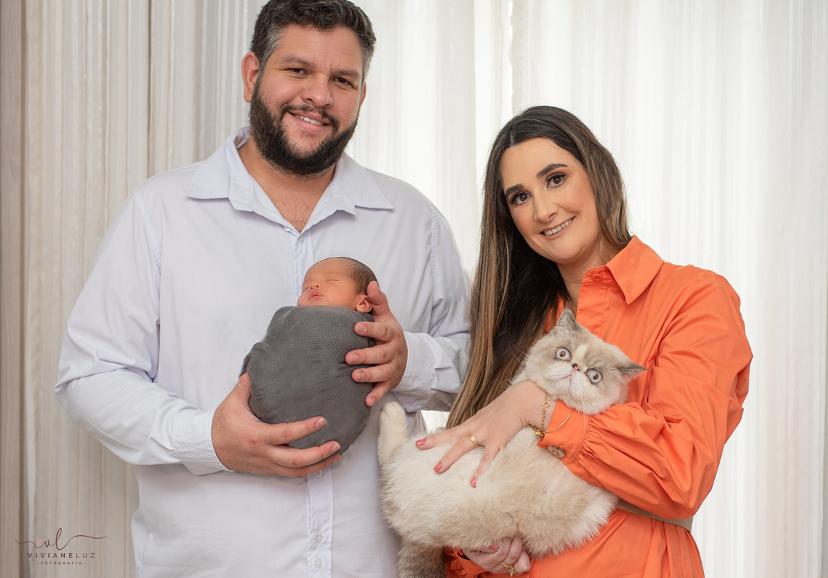 ensaio com pet ensaio com gato persa siames