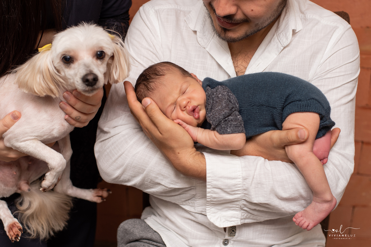 newborn em casa ensaio em casa ensaio domiciliar jaragua do sul ensaio com pet
