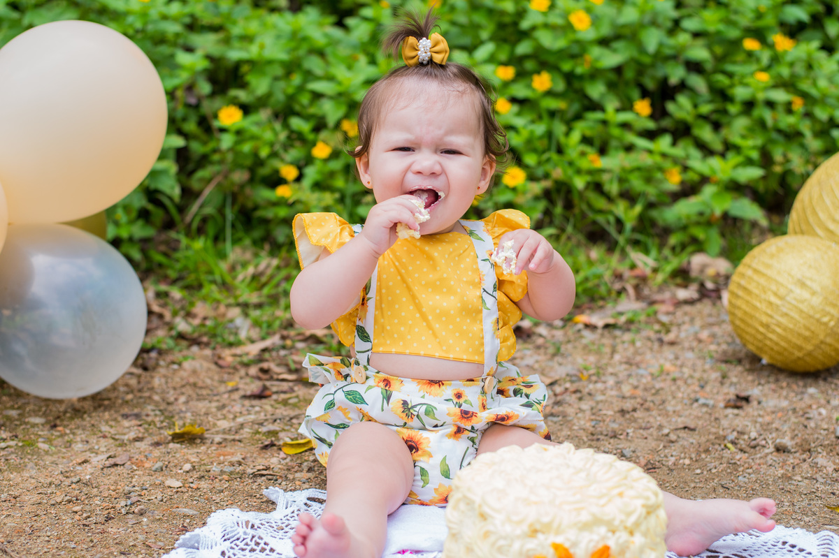 smash the cake raio de sol girassol ensaio infantil