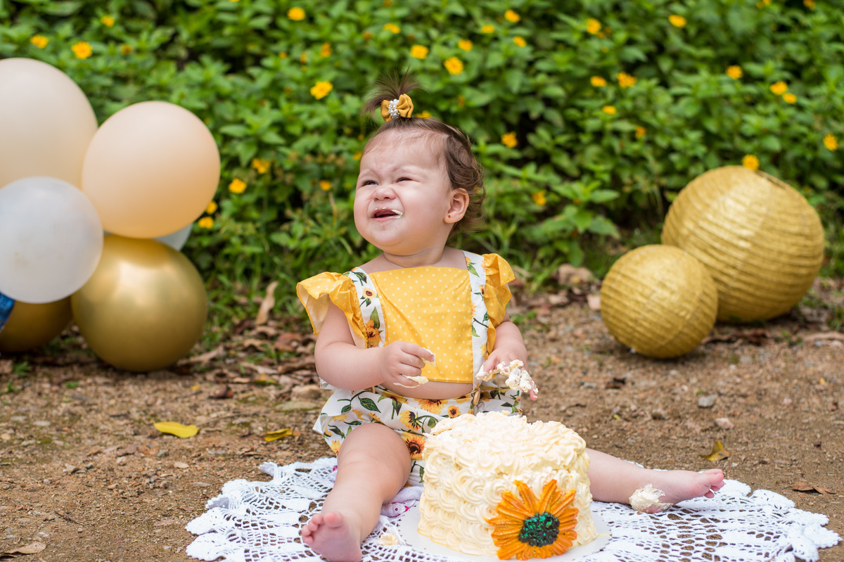ensaio esmaga o bolo tema sol girassol amarelo