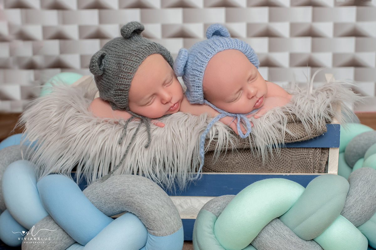 ensaio fotografico de gemeos newborn em casa viviane luz fotografias