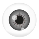 www.julianabizzo.com.br favicon