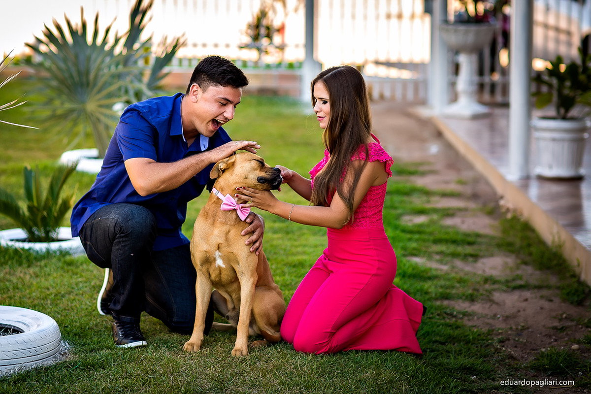 Pre casamento com cachorro
