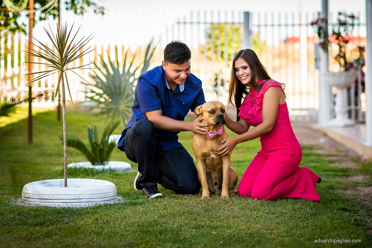 Pre casamento com cachorro