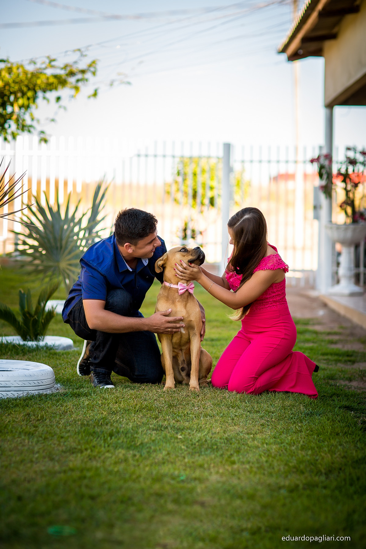 Pre casamento com cachorro
