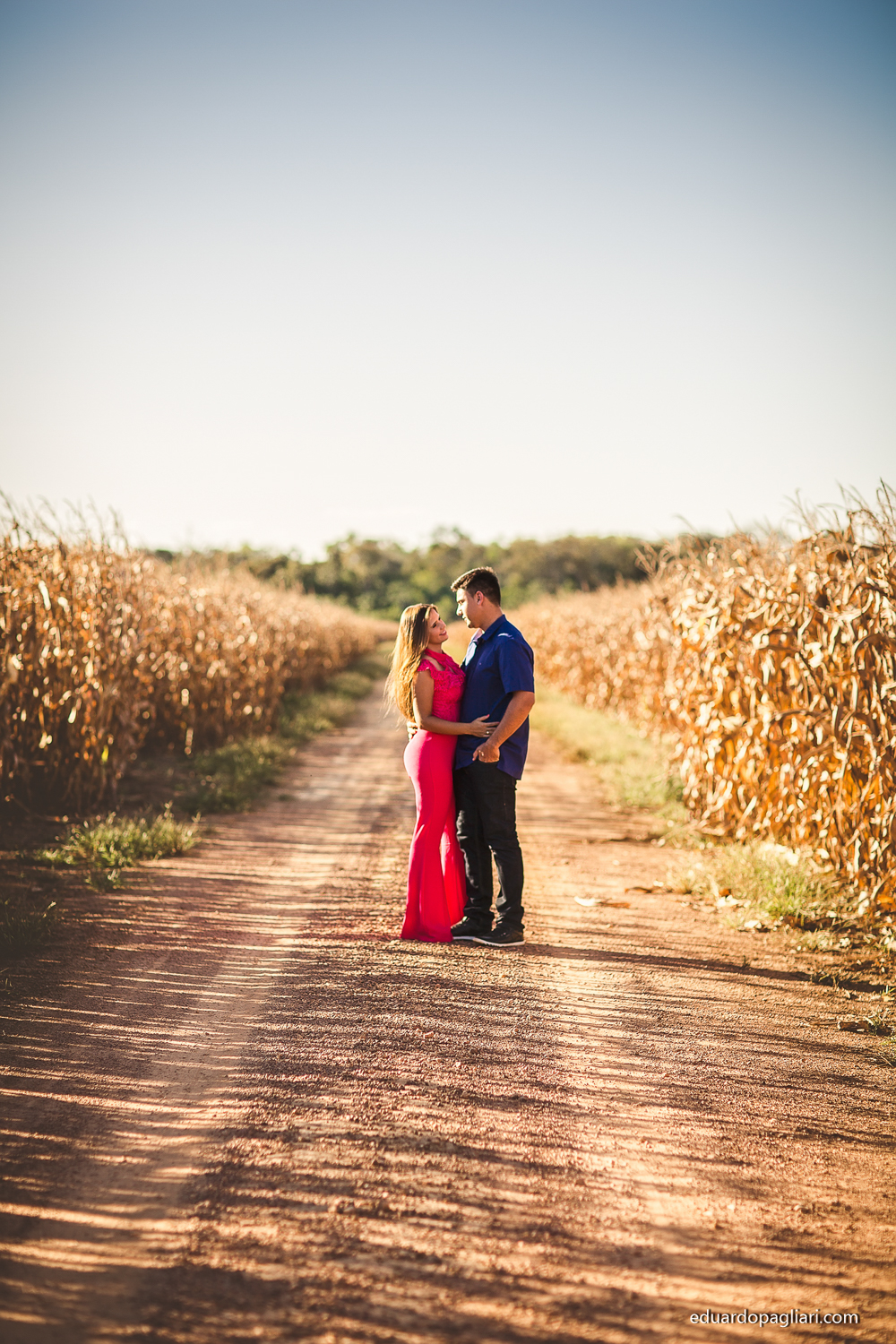fotos do pre casamento no milharal