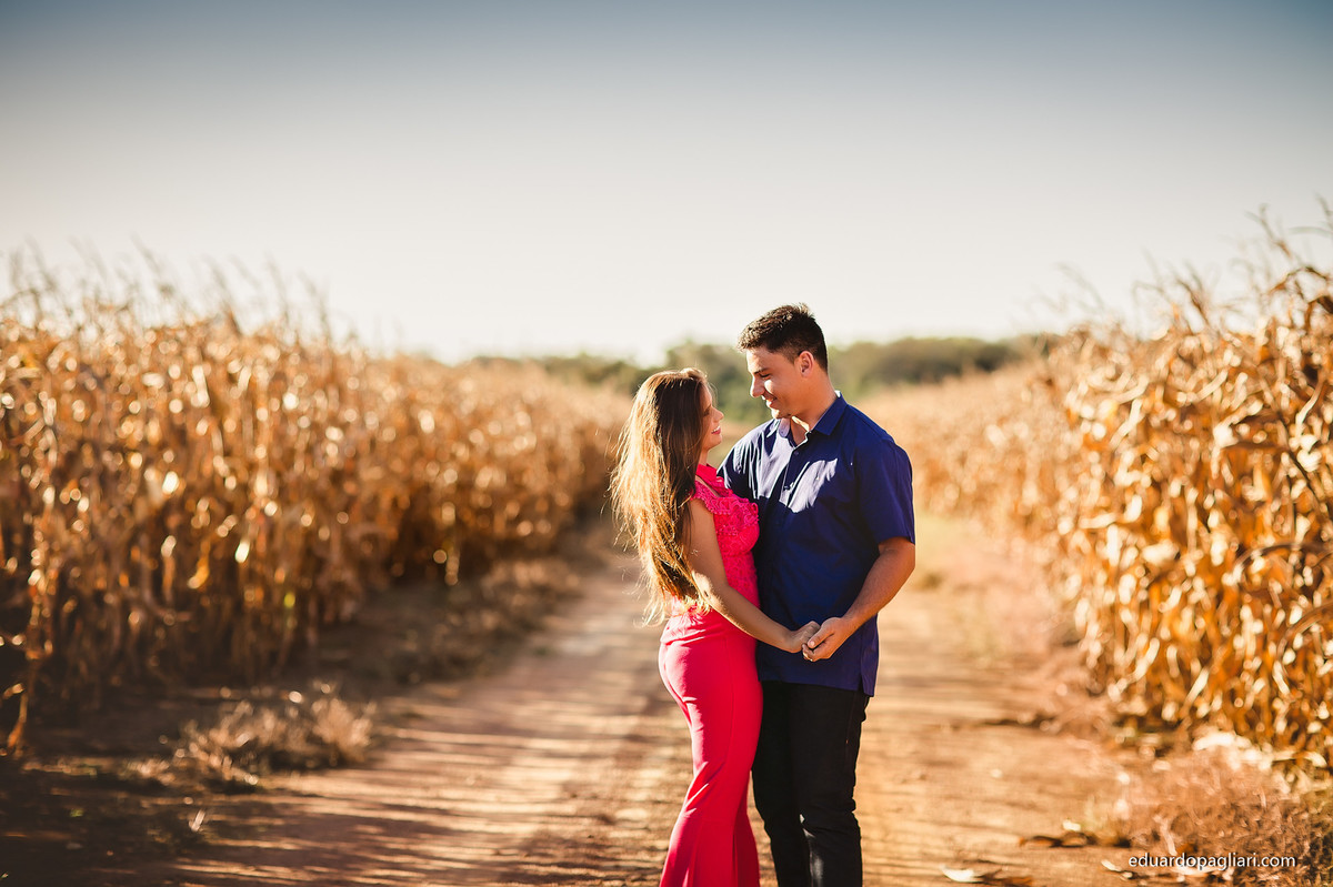 fotos do pre casamento no milharal