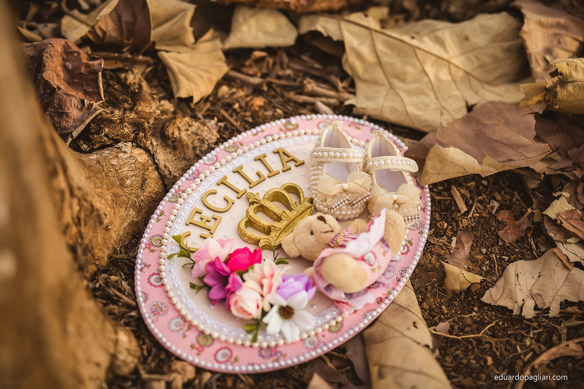 ensaio gestante em sinop por eduardo pagliari