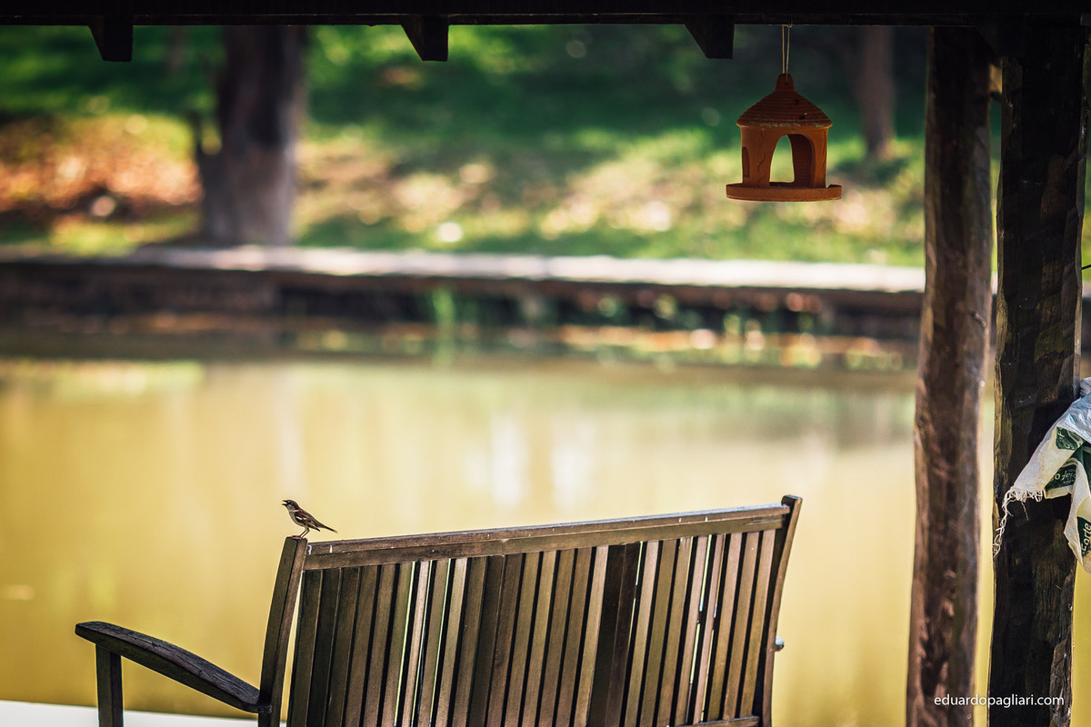 pre casamento em colide mato grosso