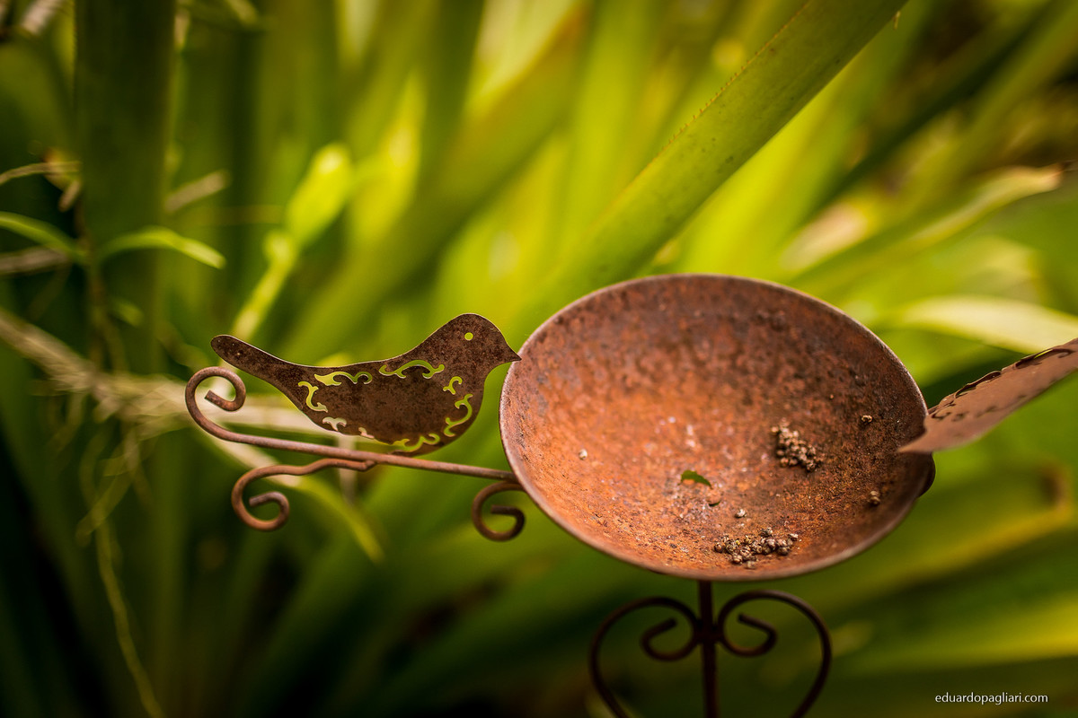 Ensaio infantil colider Eduardo Pagliari