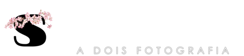 Logotipo de Fernando Alberto Santos Castelo