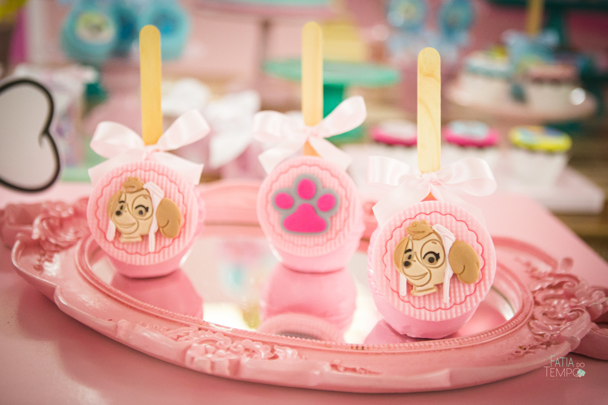 aniversario, buffet, fotografia, criança, festa, fotografia, baby, patrulha canina, cachorro, sky, menina, menino, cakky balaco, festa infantil, buffet, festa de criança, decoraçao, bolo, santo andre, sao paulo, fatiadotempo