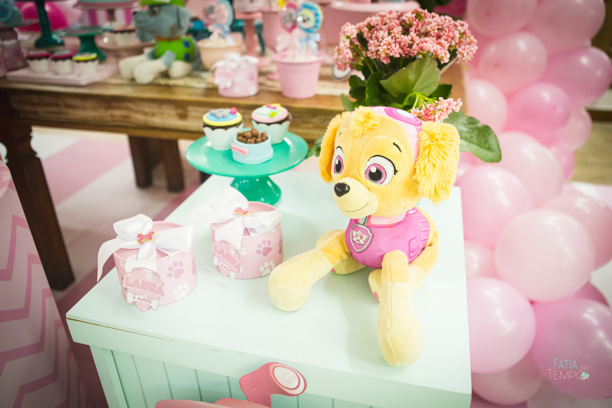 aniversario, buffet, fotografia, criança, festa, fotografia, baby, patrulha canina, cachorro, sky, menina, menino, cakky balaco, festa infantil, buffet, festa de criança, decoraçao, bolo, santo andre, sao paulo, fatiadotempo