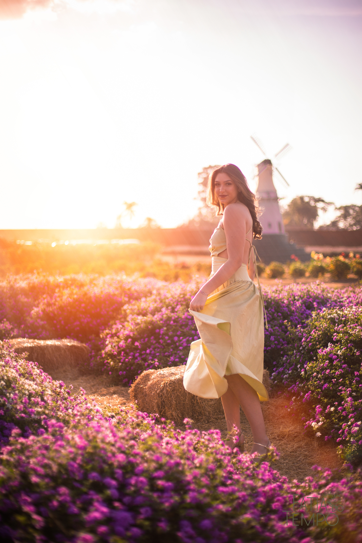 ensaio 15 anos, ensaio em holambra, ensaio cidade das flores, ensaio externo debutante, ensaio debutante, ensaio debutante em holambra, sessao de fotos debutante, ensaio com flores, ensaio de fotos girassois, ensaio de fotos lavanda, fotos debutante
