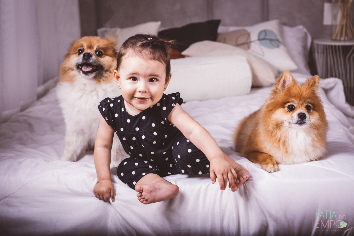 ensaio fotografico de familia, ensaio de familia, fotos de familia, fotos em familia, fotos de familia em estudio, fotos papai mamae e bebe, familia com pets, estudio em sao caetano, estudio pet friendly, estudio fotografico no abc