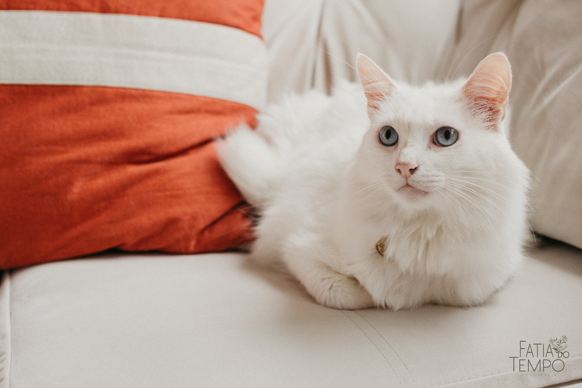 ensaio de casal, ensaio de casal em casa, ensaio lifestyle, ensaio em casa, pre casamento lifestyle, pre casamento em casa, lifestyle, pre casamento, pre wedding, ensaio pre casamento, ensaio pre wedding, fotos em casa, ensaio em casa