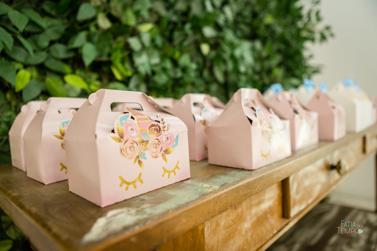 aniversario, festa, criança, infantil, buffet, bolo de aniversario, foto infantil, decoração, brincadeiras, familia, buffet infantil, 1 ano, Santo André, sao Caetano, ensaio fotografico, smash the cake, smash the fruit, paint baby, estudio fotográfico, 