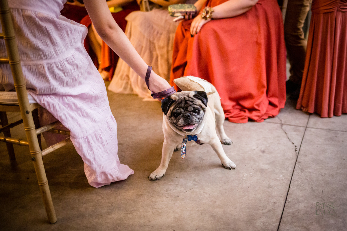 casamento, wedding, buffet, festa, meninos, homoafetivo, lgbtqia+, gay, hétero, familia, felicidade, amor, make, fotografia, autoral, profissional, maquiagem, cerimônia, balada, Dança, dia do noivo, amigos, padrinhos, vestido de festa, pai, mae, 