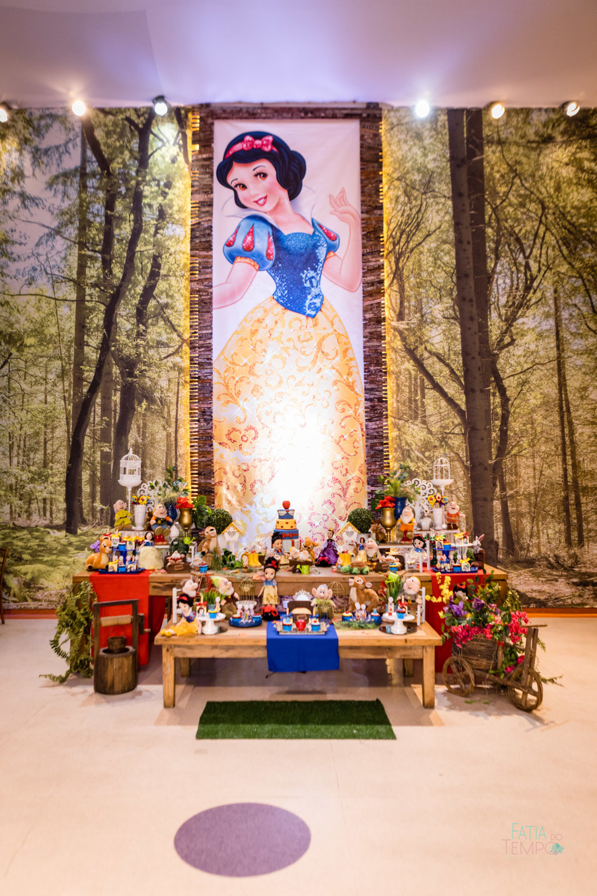 aniversario, criança, festa, buffet, decoração, fotografia, decoração, menina, menino, família, pai, mãe, São Paula, ABC Paulista, elegância, espontânea, tema, Branca de neve, brinquedo, brincadeiras, comida, cardápio, chopp, bebida, fatia do tempo, amor,