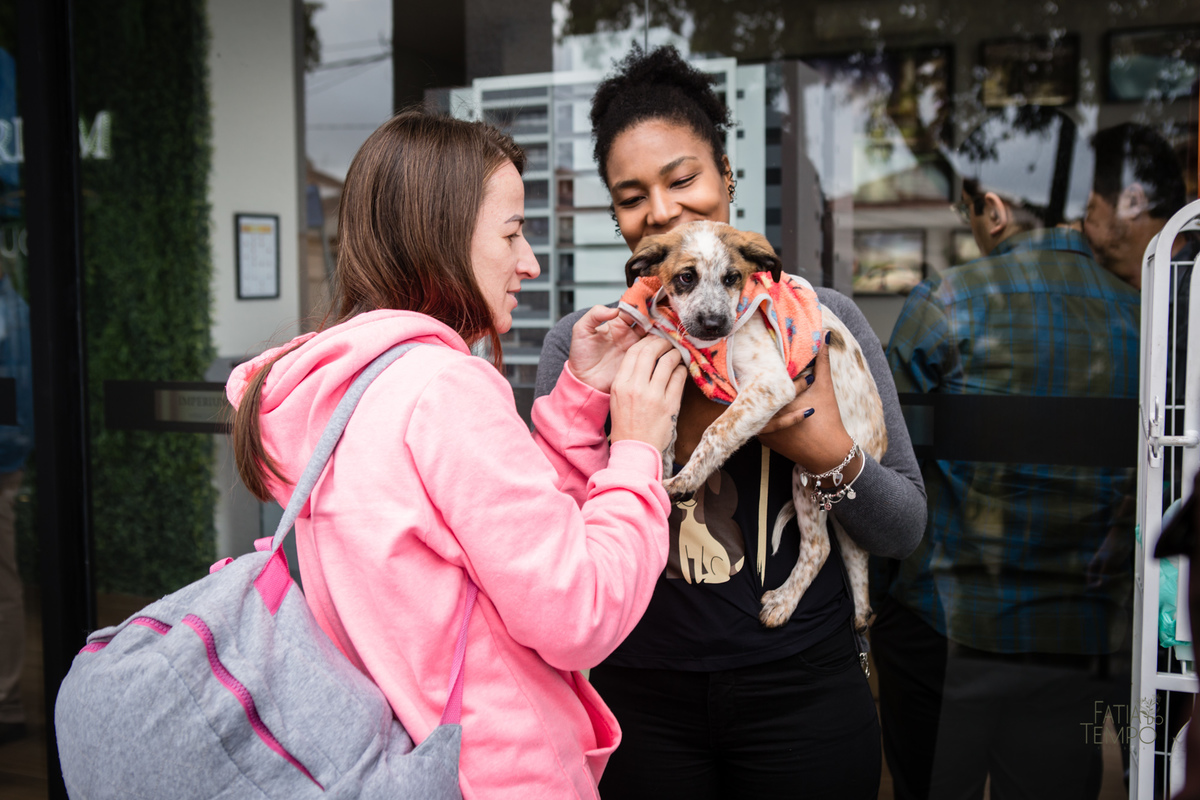 corporativo, negocios, business, trabalho, empresario, empresa, work, profissional, branding, empreendedorismo, empreendedor, comercio, comerciante, executivo, diretor, líder, marketing, publicidade, 